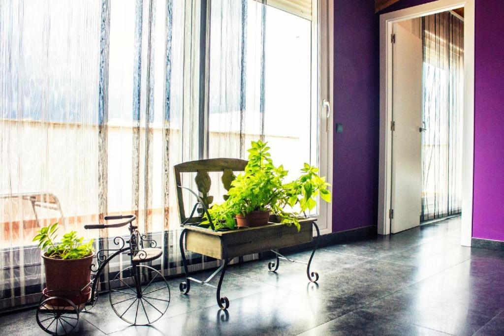 Apartamento Con Estilo Y Acogedor Sant Mateu Exteriér fotografie
